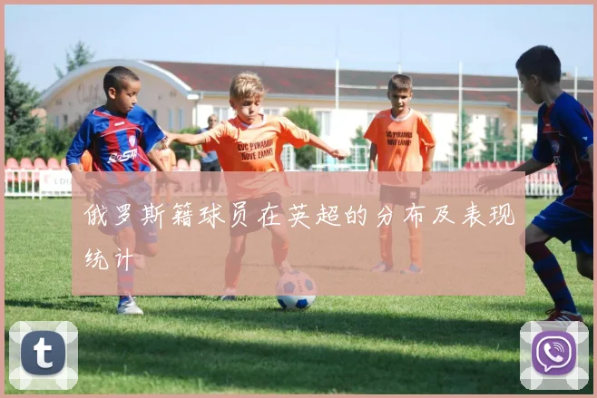 俄罗斯籍球员在英超的分布及表现统计