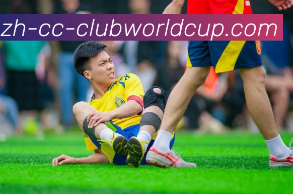 世界杯官网平台生态图